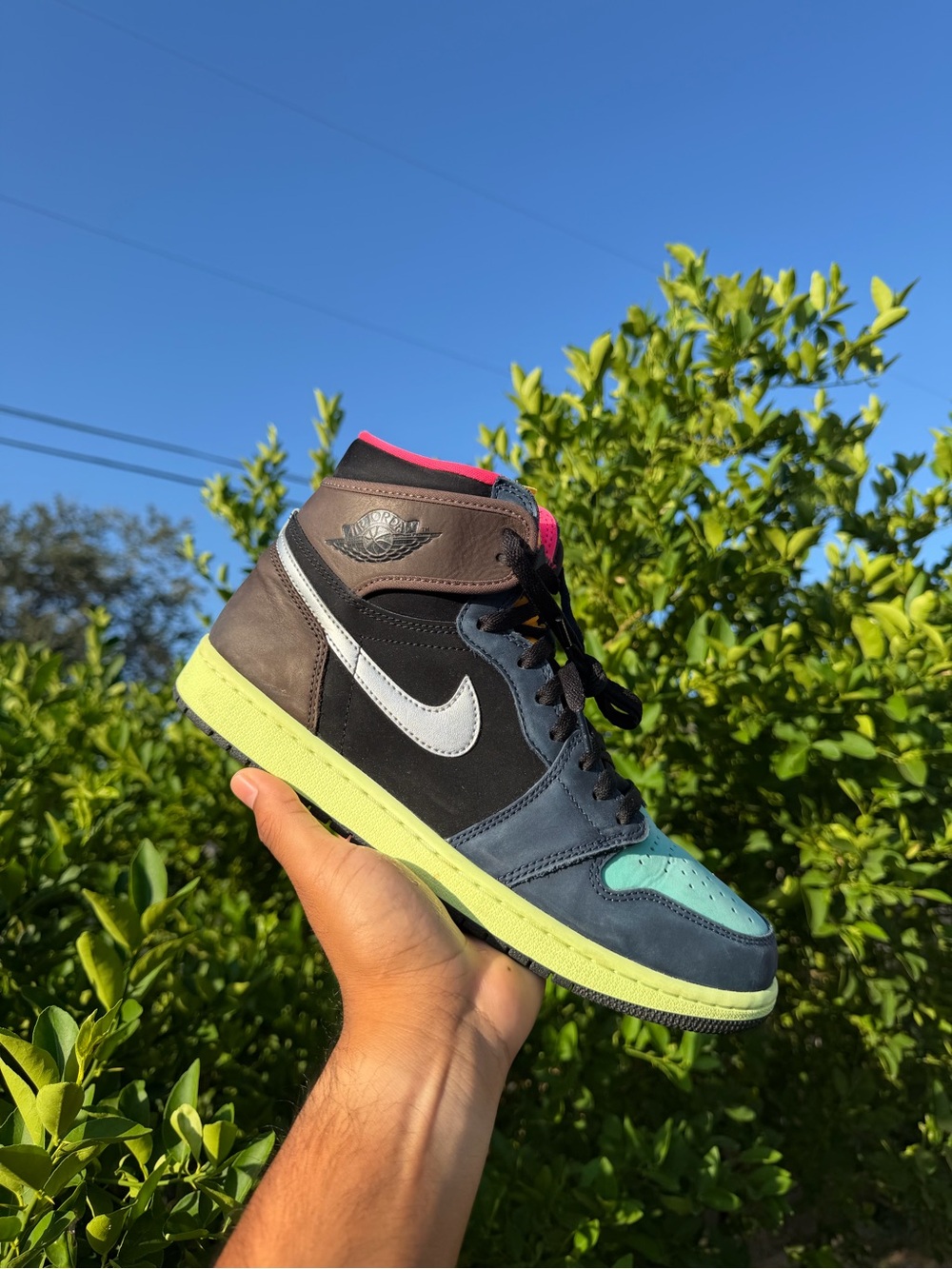Nike Air Jordan 1 High Bio Hack